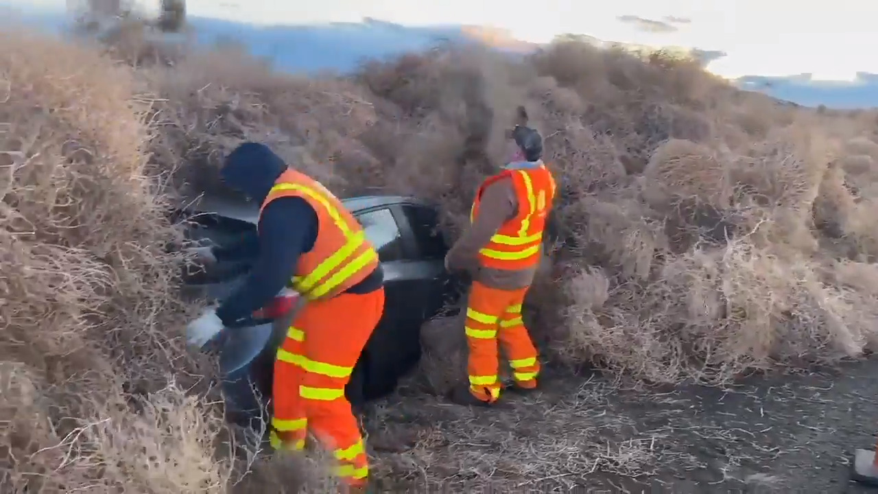 'Tumblegeddon' Cars Trapped by Tumbleweed on Highway in Washington