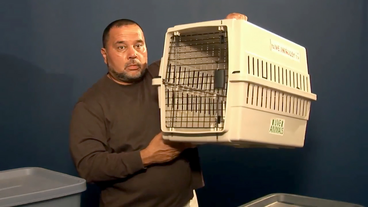 Don’t forget the emergency supplies kit for your pets (ASL)