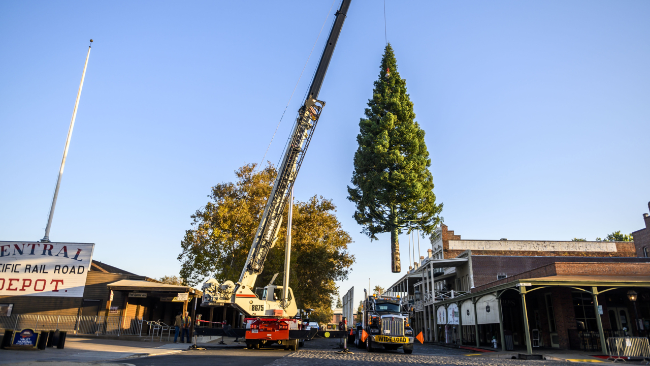 Christmas season arrives in Old Sacramento with a 62-foot tree. Wait, Christmas is here?