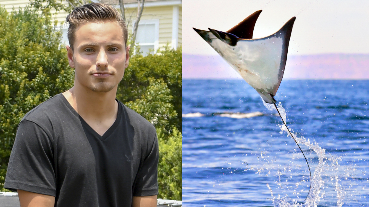 Stingray jumped out of the water near Hilton Head — and almost killed a Bluffton teen
