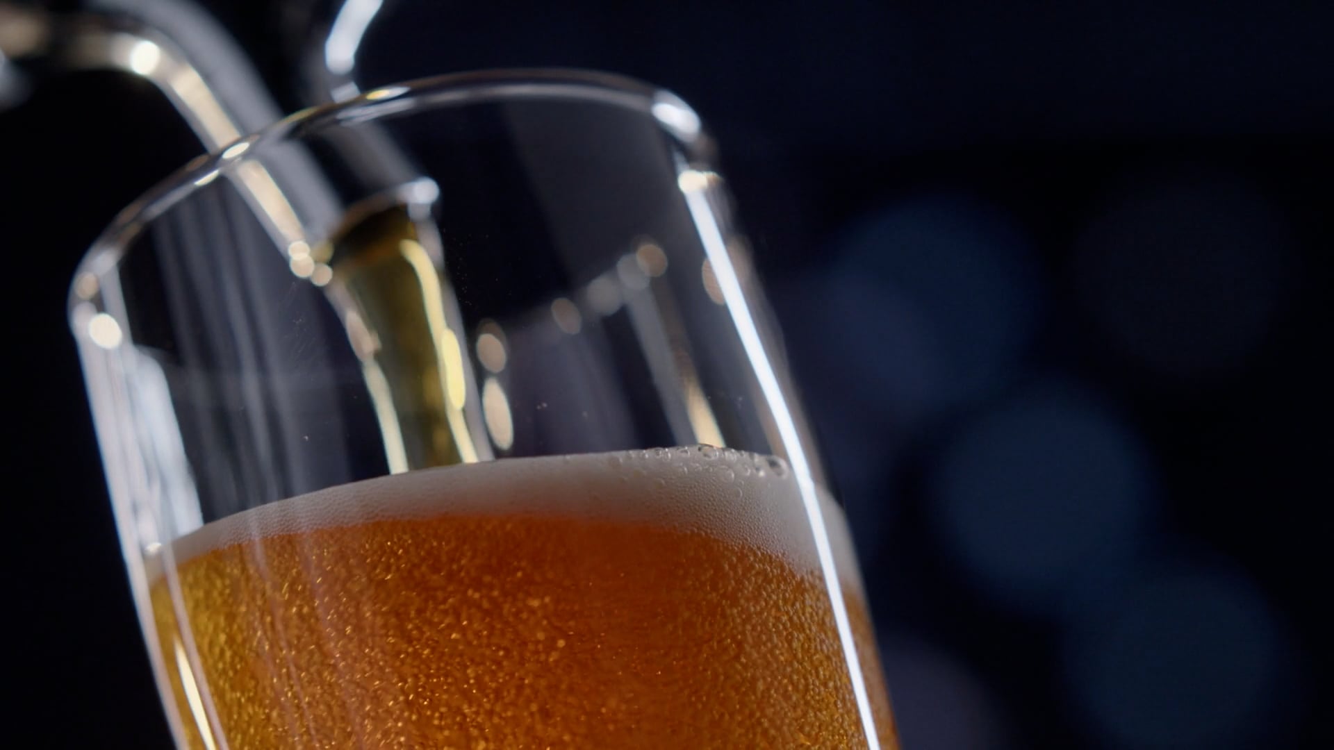 5 Beer Facts That Will Make You the Life of the Party