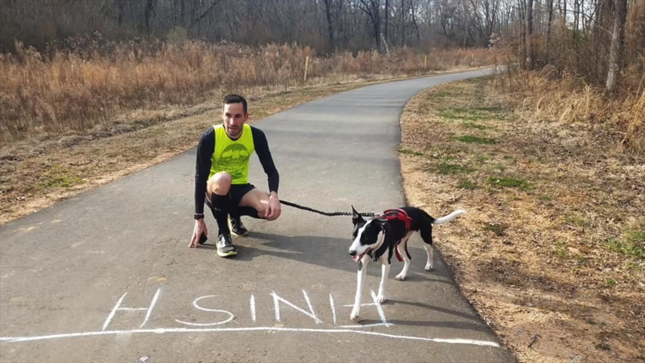 An Olympian ran a sub-4-minute mile with a dog he just met. Did they set a world record?