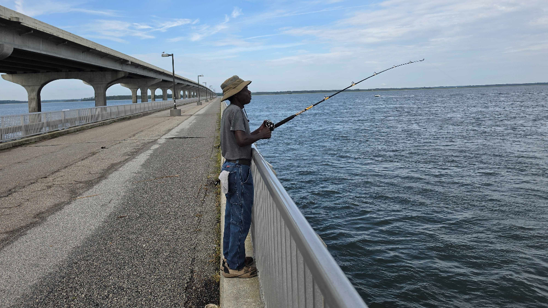 Shark, black drum, trout: Angler talks fishing on the Broad River