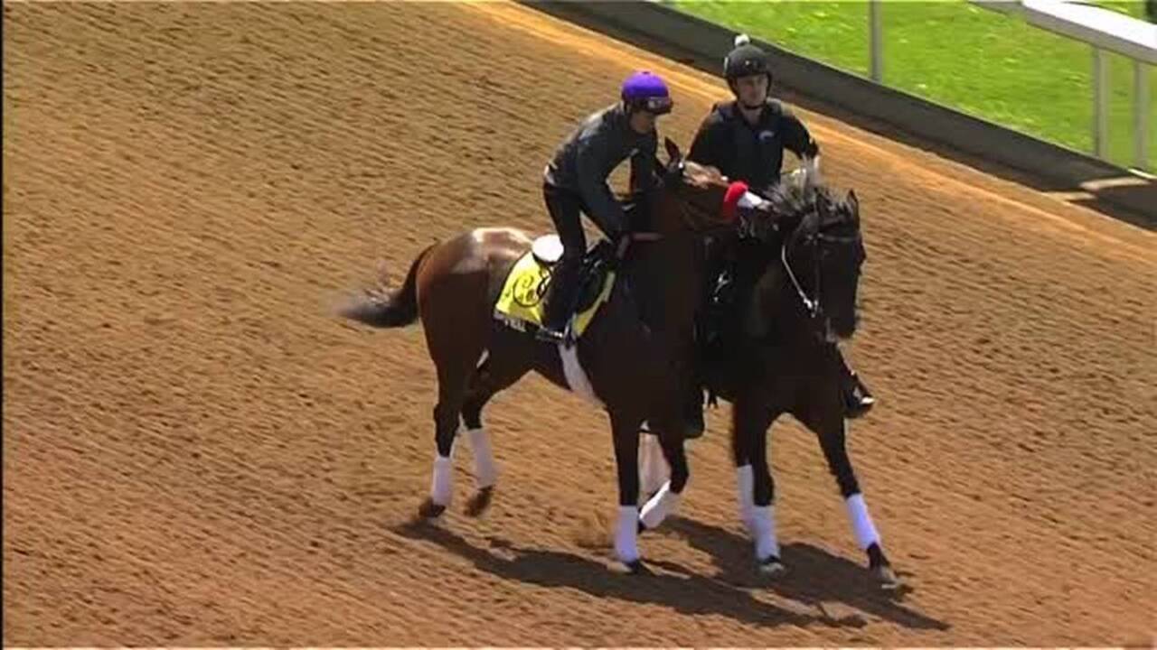 Meet Satire, barn pony for Kentucky Derby favorite Nyquist