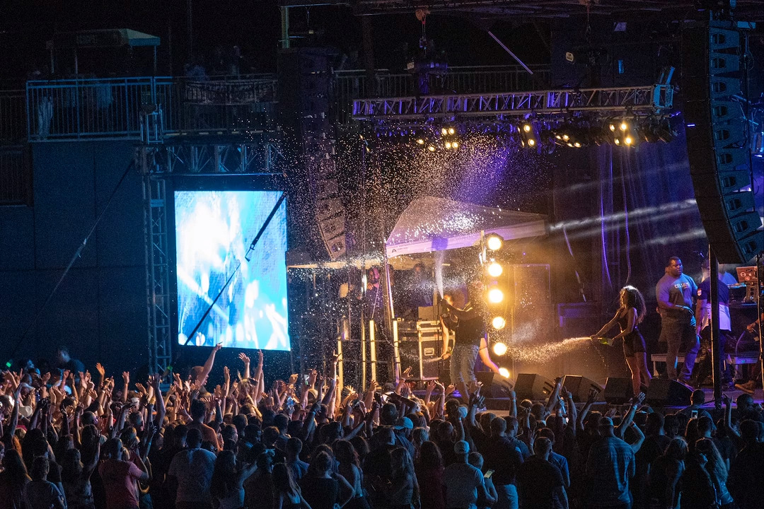 Look: Nelly, Ludacris, the Ying Yang Twins and Flo Rida perform in Columbia in 2018