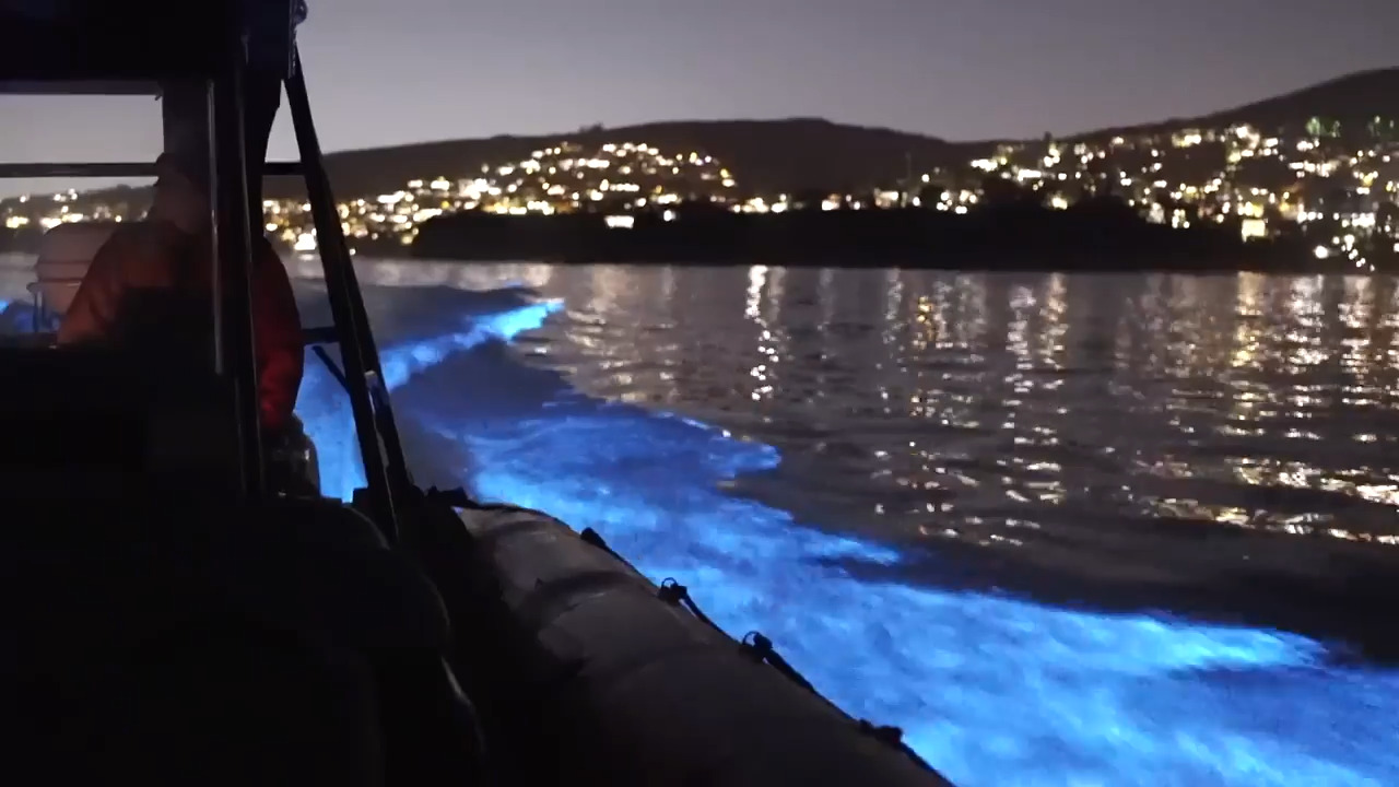 Glowing surf turns into rotten stench on California coast. ‘It makes it very stinky’
