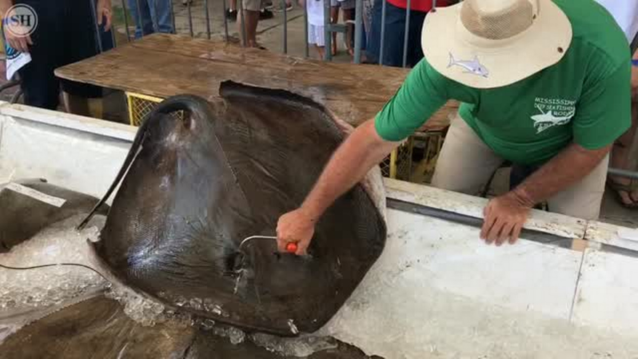 13 winners crowned on last day of Mississippi Deep Sea Fishing Rodeo