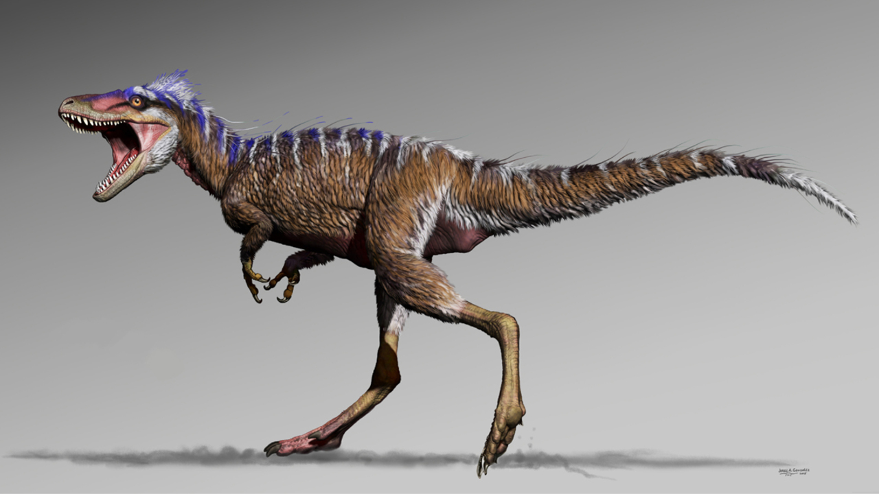 Meet Moros: A newly discovered tiny Tyrannosaur
