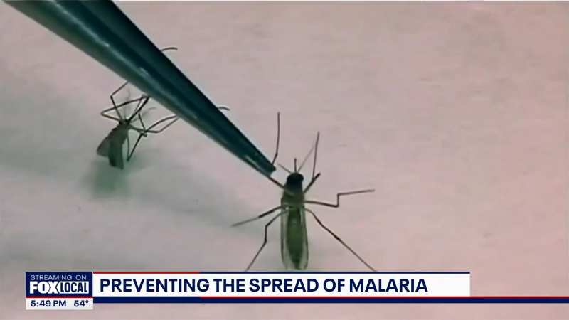 Warm weather brings out the bugs. Here’s how to avoid getting bit or stung