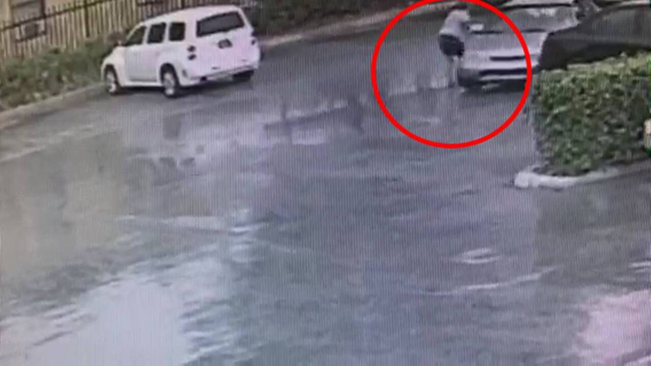 Police searching for a pushing/dragging supermarket mugger