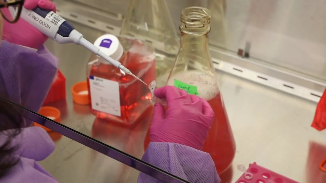 Can Florida keep us safe? It’s already overwhelmed early in coronavirus fight | Editorial