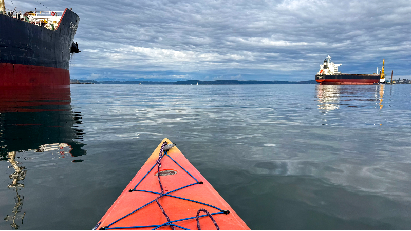Here's how to stay safest when paddling around the South Sound this summer.