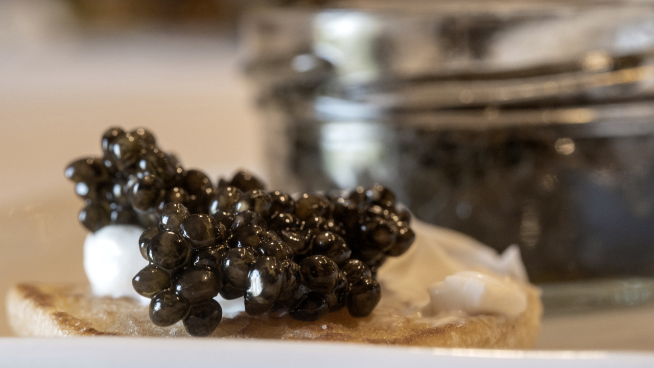‘It’s a growing delicious thing.’ Go inside Tsar Nicoulai’s Sacramento County caviar farm
