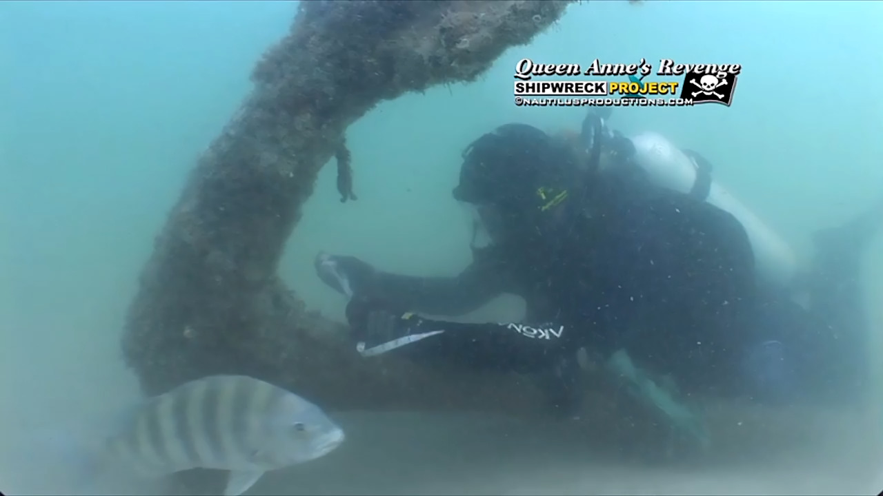 How Blackbeard’s ship and a diver with an ‘iron hand’ ended up at the Supreme Court