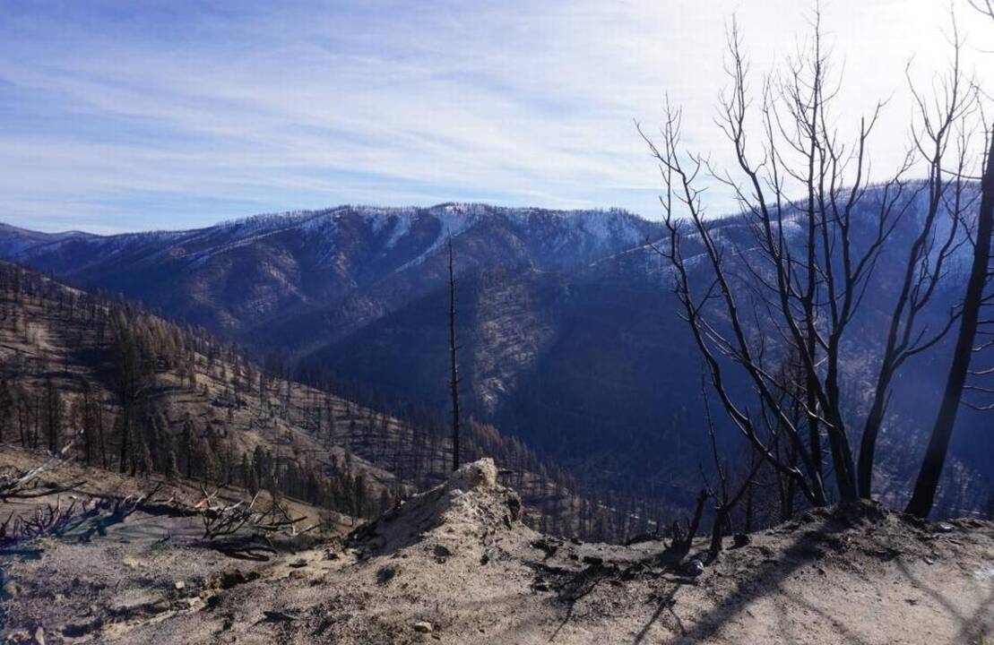 ‘We don’t want to shut people out of the woods’ in Pioneer Fire’s path, officials say