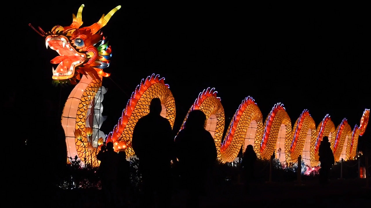 Cary’s annual NC Chinese Lantern Festival is a spectacle of color and light