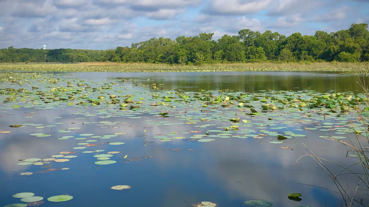 Don’t want to drive? Check out these outdoorsy gems in Fort Worth