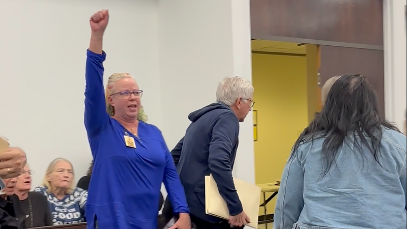 'Racist maps make racist reps!': Protest erupts at hearing over Trump-backed congressional map in NC