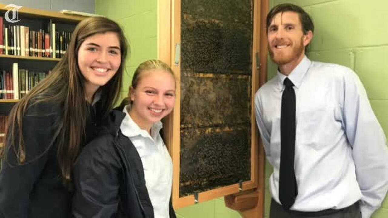 Bee-thankful this Thanksgiving