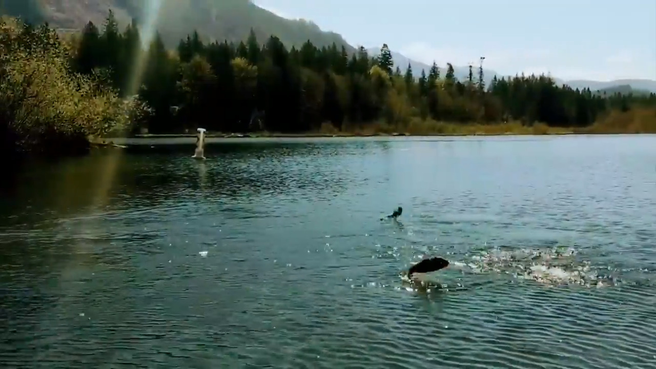 Fish are splashing at Whatcom County’s Silver Lake