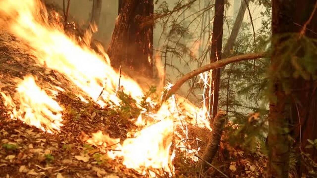 Soberanes Fire near Big Sur jumps containment lines, endangers more homes