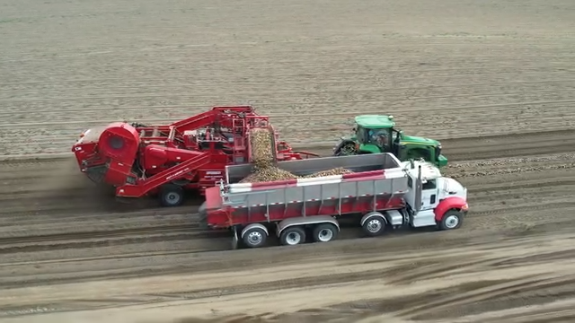Potato harvest in full swing in eastern Washington