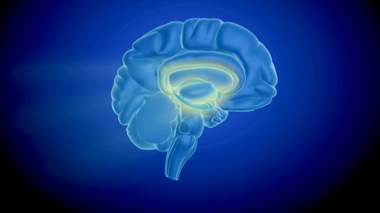 The reward circuit: How the brain responds to methamphetamine