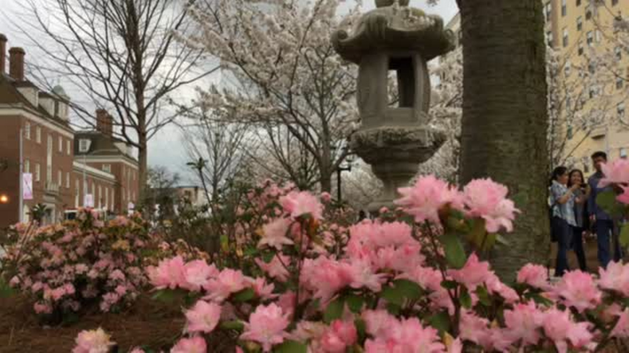 Our world is about to turn pink