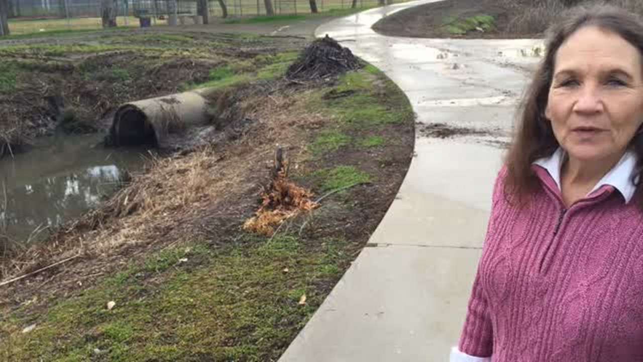 Merced’s beavers - nuisance or benefit?