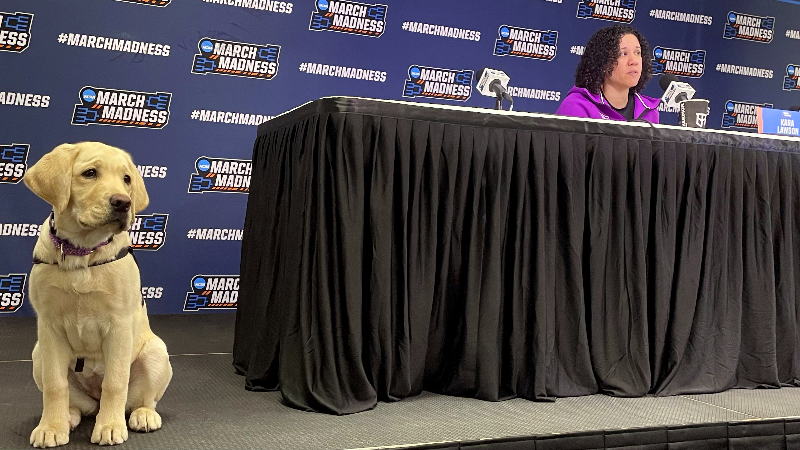 Duke's women's basketball team helps train service puppies. Meet 'Rina", their latest graduate