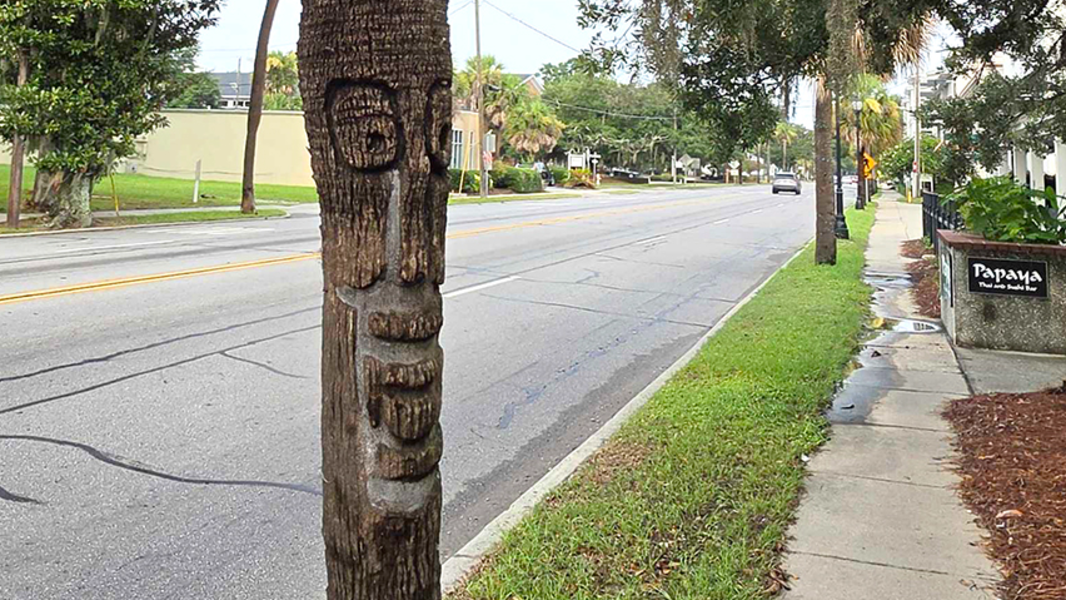 Palmetto tree with carved art to be cut down. Here's the plan for the art