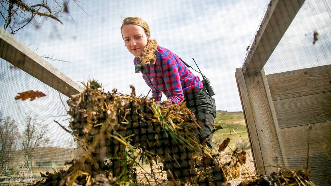 Gardeners have a superhero at their disposal — compost! Learn how waste becomes grower’s gold