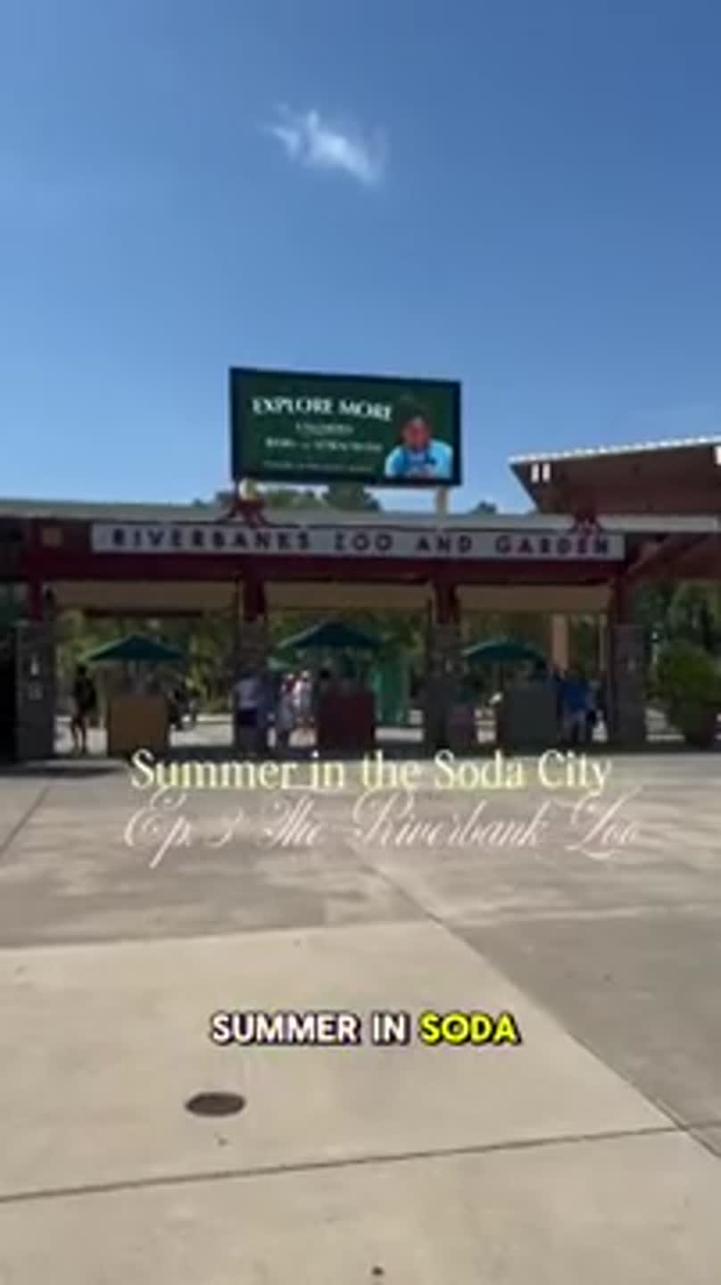 Summer in Soda City Ep. 3: The Riverbanks Zoo & Garden