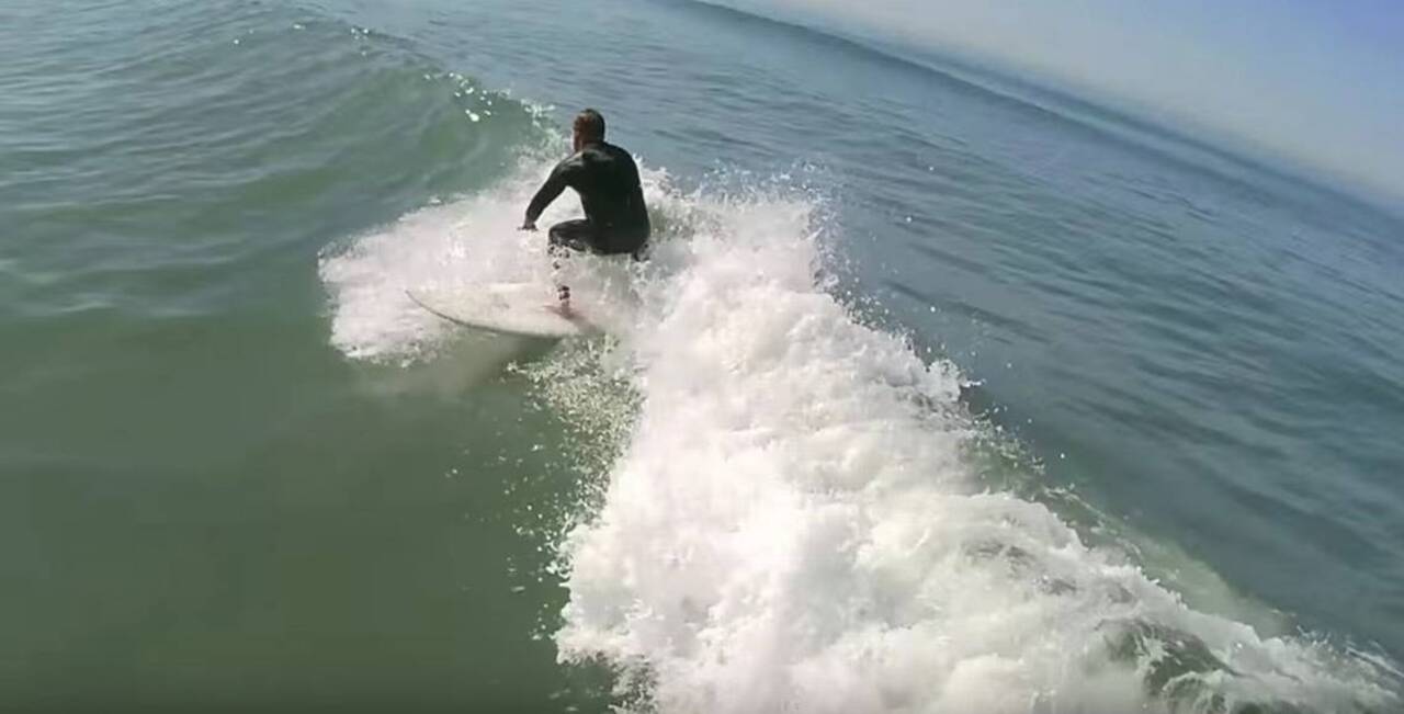 Surfer’s video catches great white shark leaping out of water