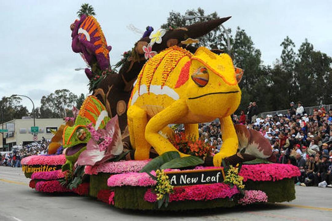 Timelapse video: Watch Cal Poly students decorate their 2017 Rose Parade float