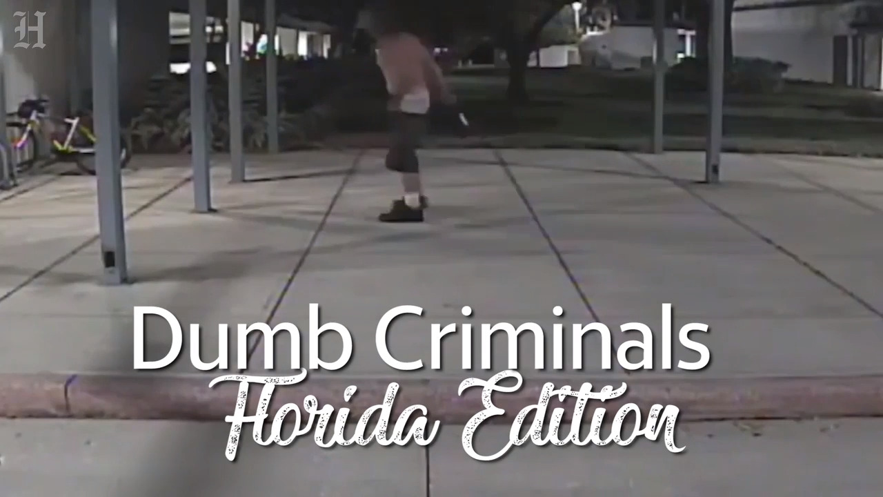 Dumb Criminals: Florida Edition
