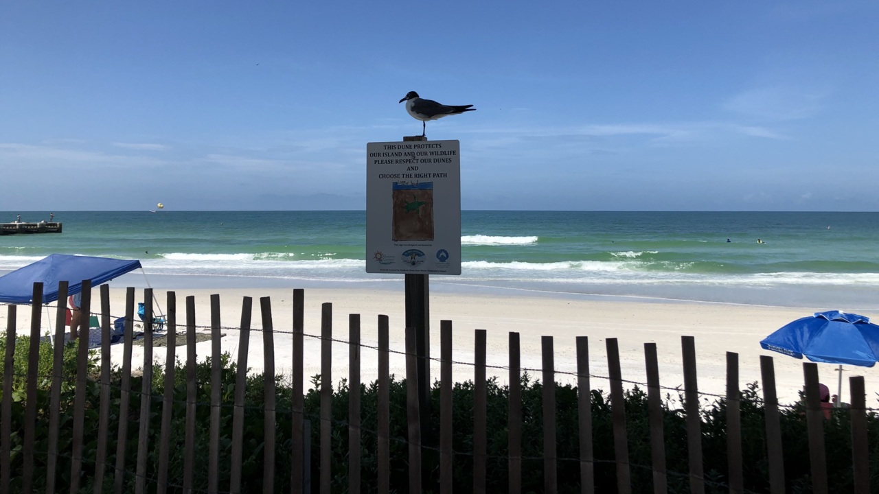 AMI is among Florida’s ‘most charming’ small towns. Is the island still a ‘best kept secret’?