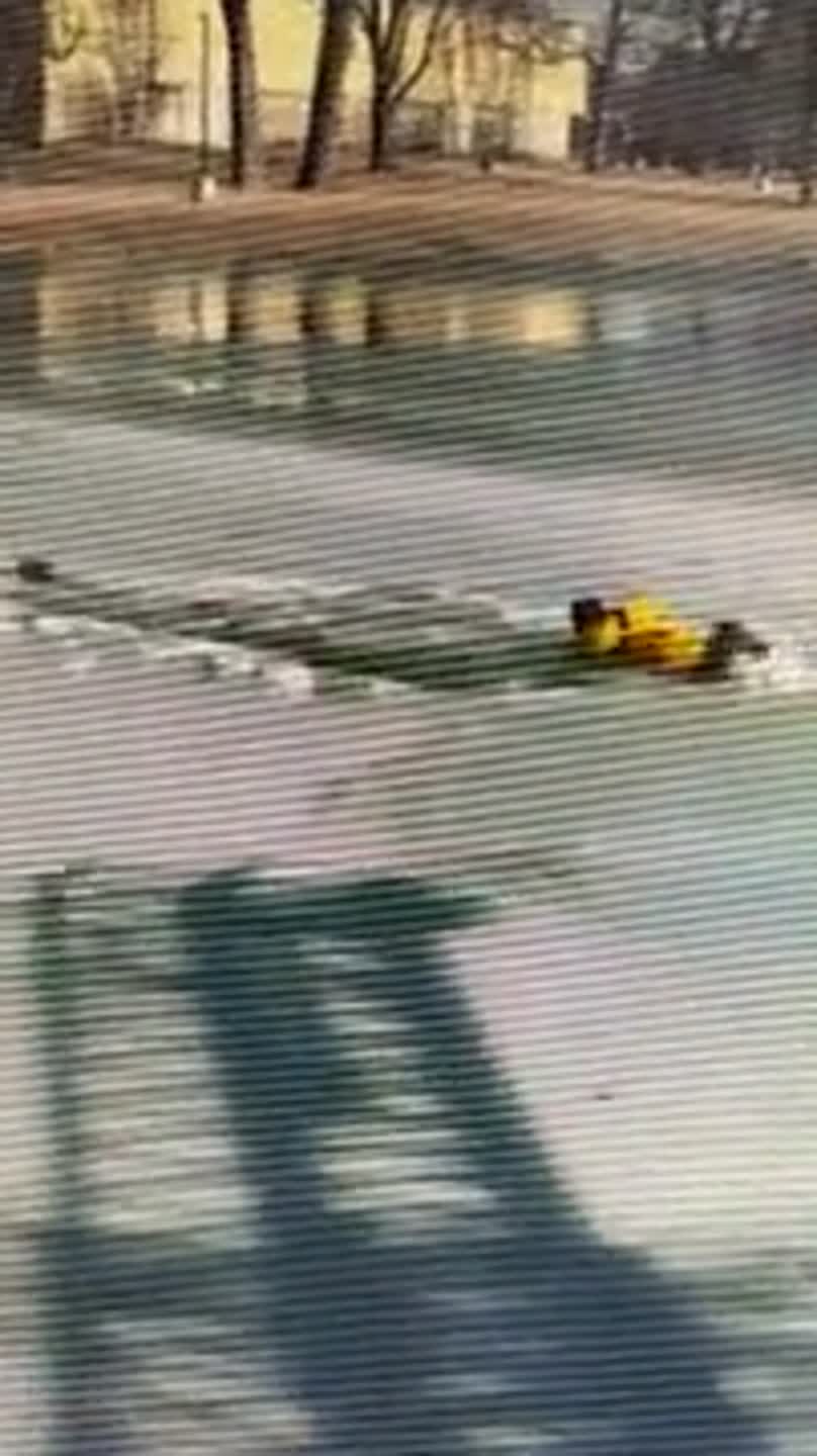 Metro-east Firefighters rescue dog from icy pond