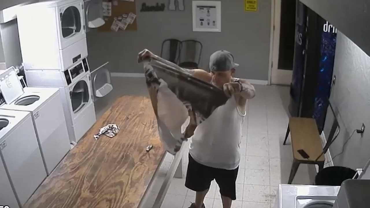 Watch as a ‘fashion-conscious burglar’ breaks into laundromat for a tiger shirt
