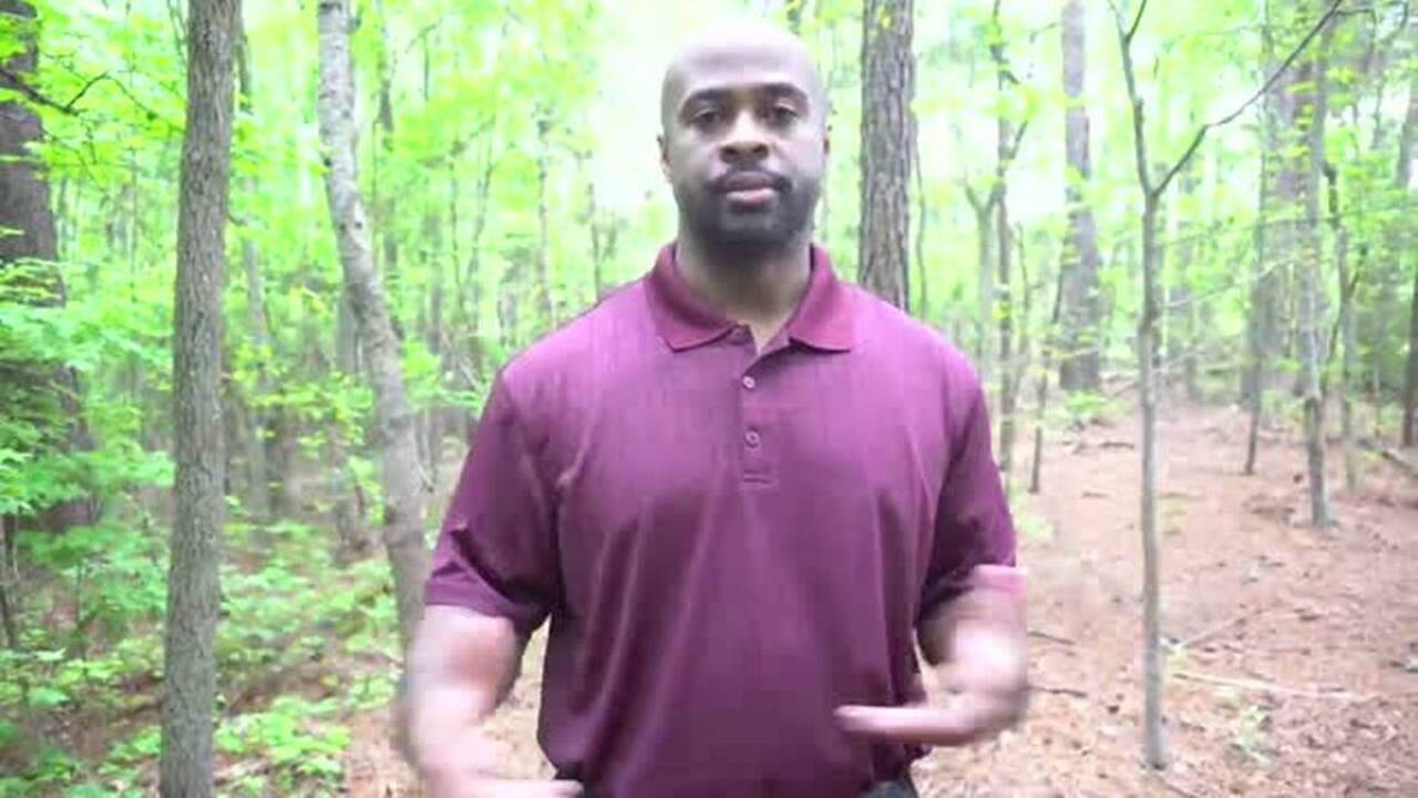 South Charlotte parks burst with activity, with more to come 