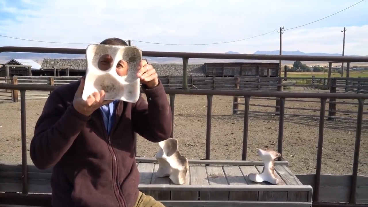 The Great Salt Lick in Baker City auctions off used salt blocks as ‘art’
