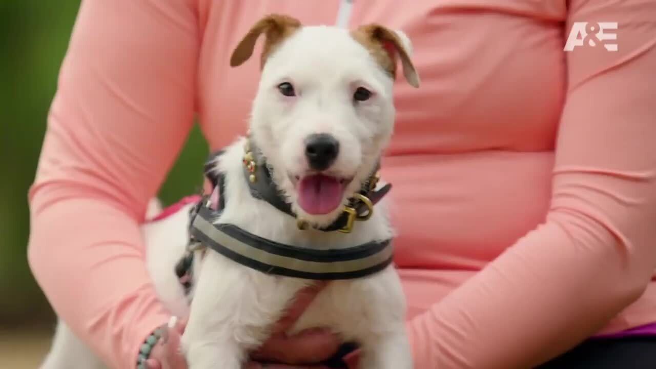 ‘America’s Top Dog’ has a new host: KC Big Slick’s David Koechner