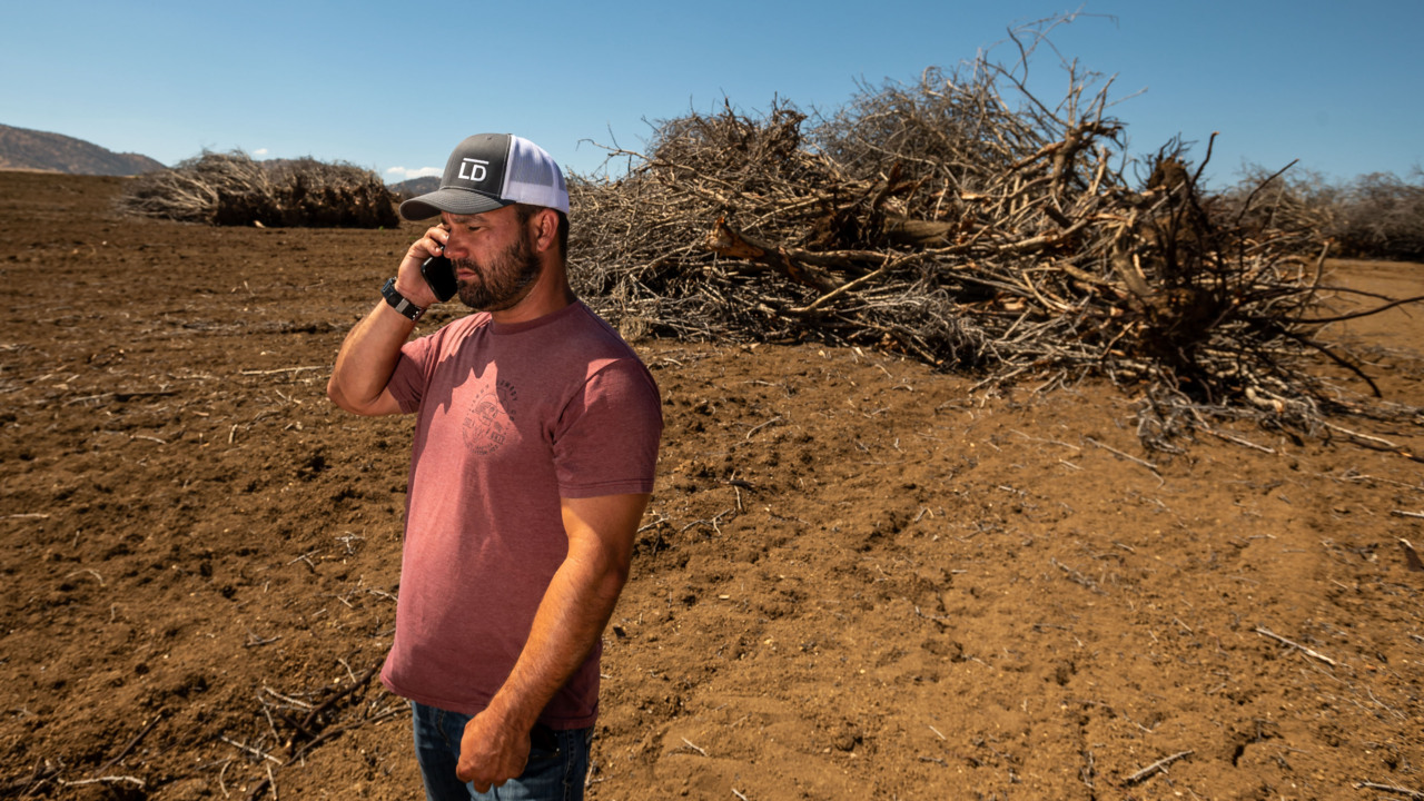 ‘Critical water situation.’ Drone video shows megadrought’s toll on Sacramento Valley farm
