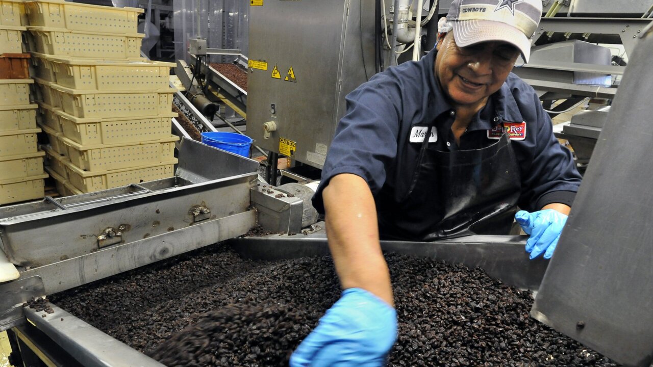 California Raisin growers produce 100% of raisins in the U.S., and it’s all within a 60 mile radius of Fresno