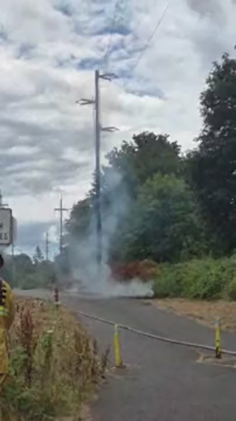 Witness sees brush fire by power pole on Cushman Trail