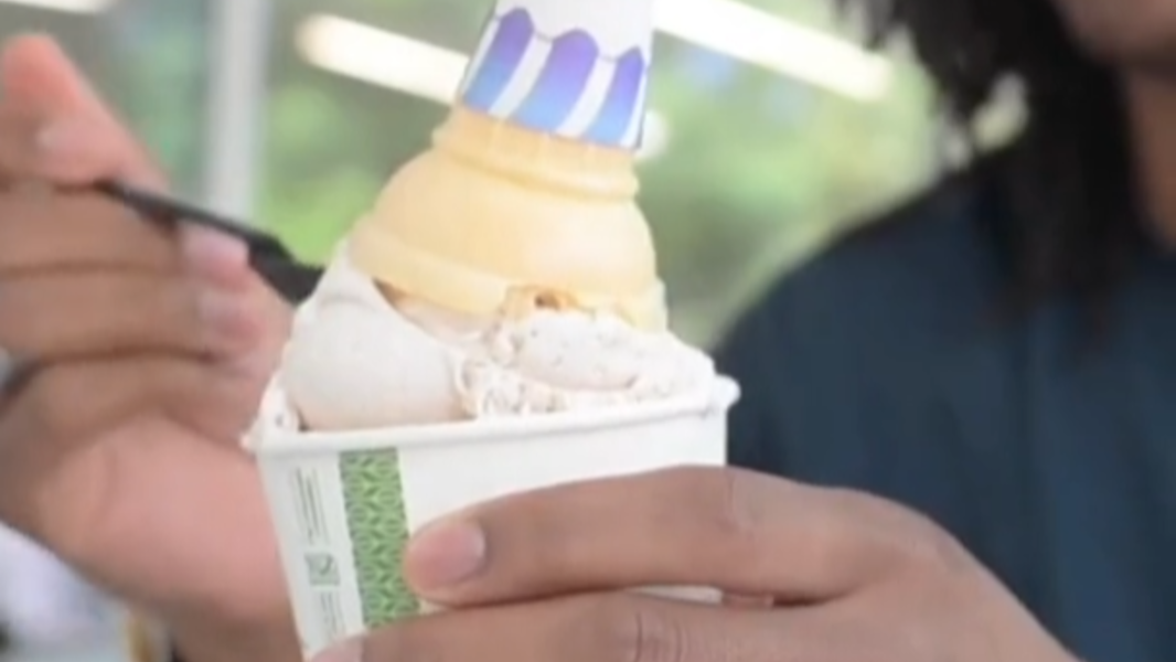 Meyer Dairy or Berkey Creamery? We sent our new-to-the-area intern on an ice cream mission