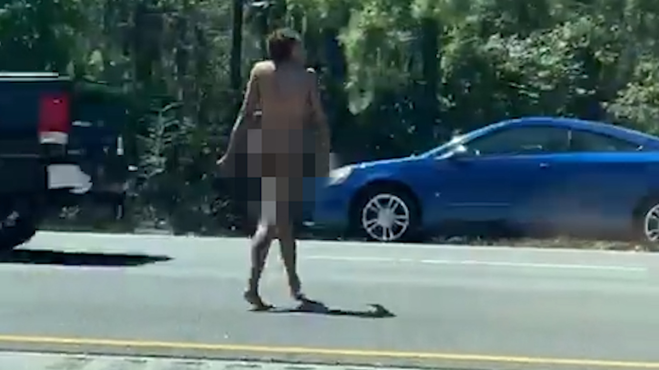 Why did the naked woman cross the road?