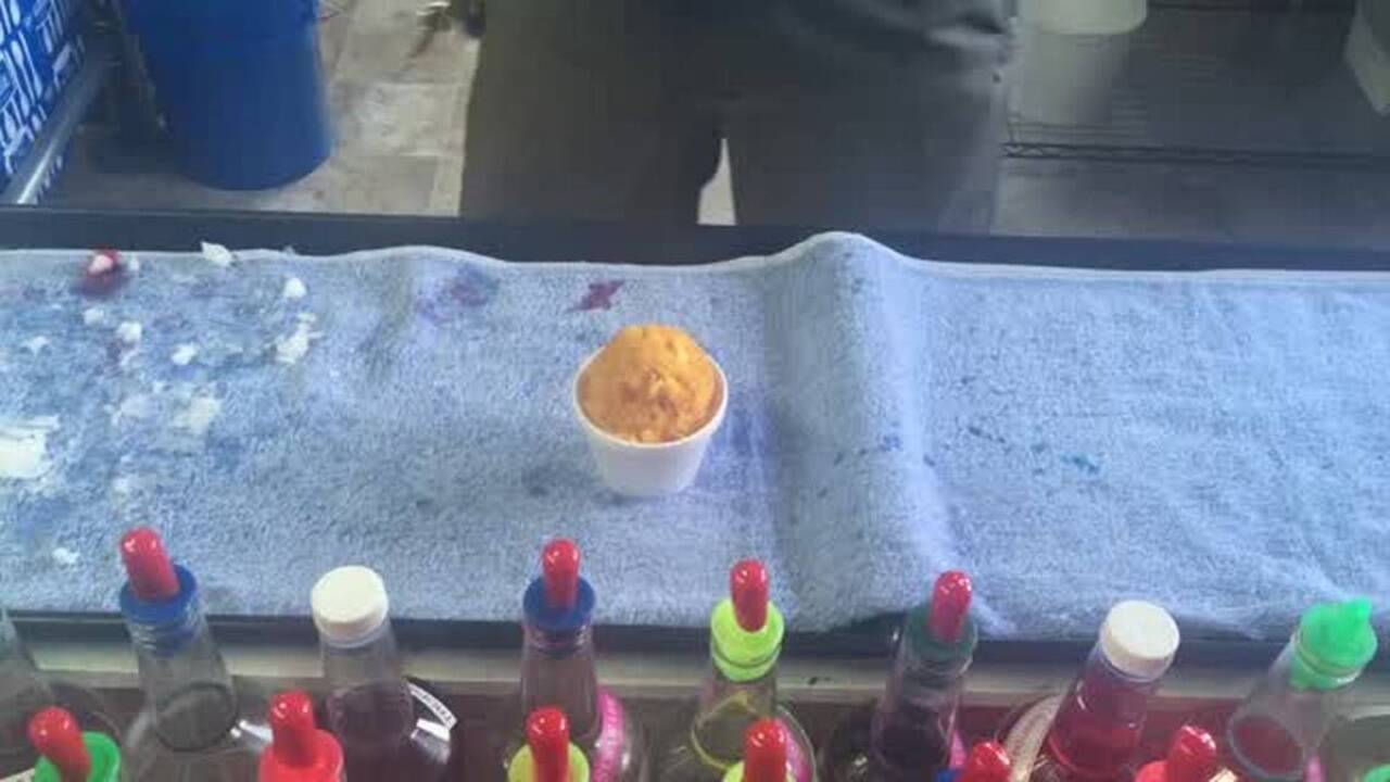 Ginger the dog gets a snow ball at Pelican’s SnoBalls