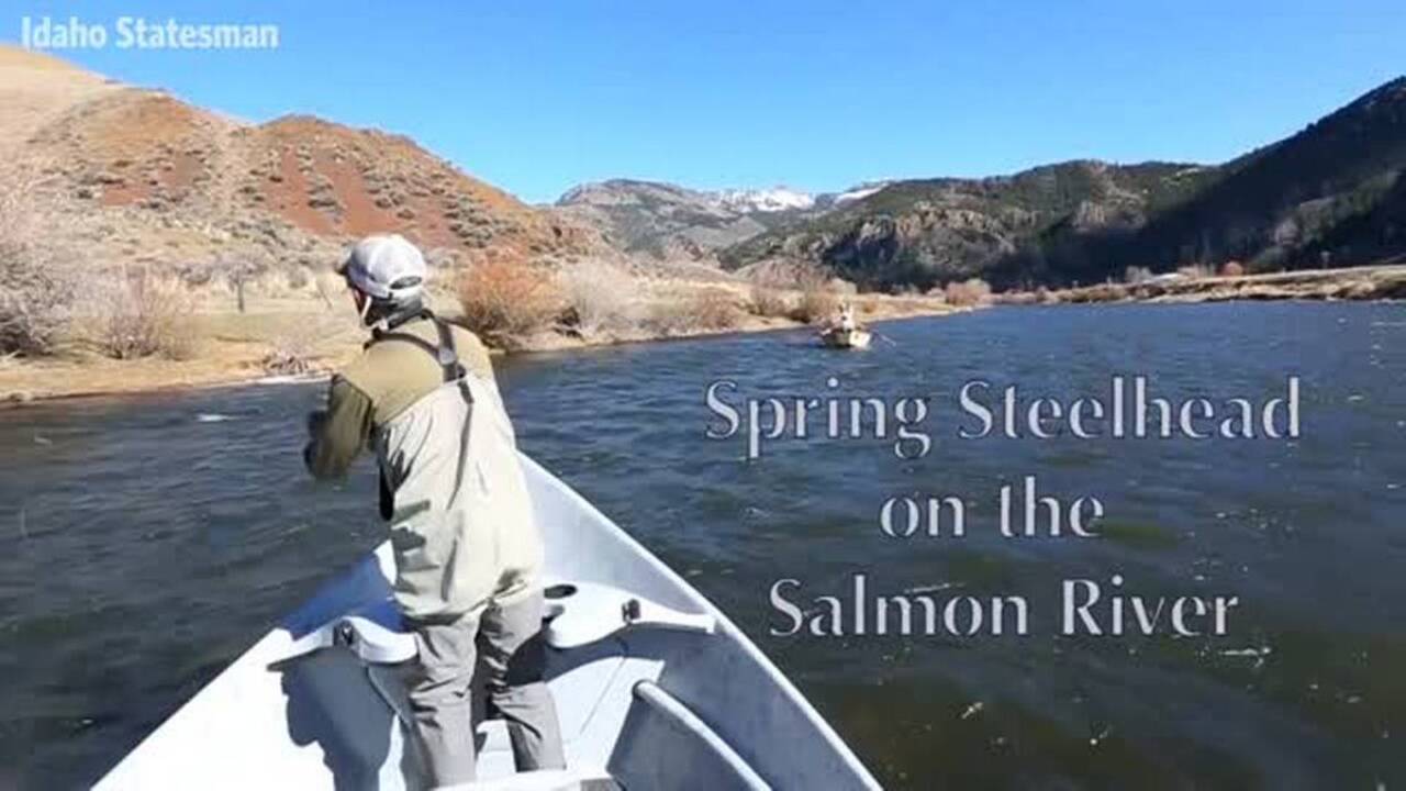 Steelhead fishing on Idaho’s Salmon River