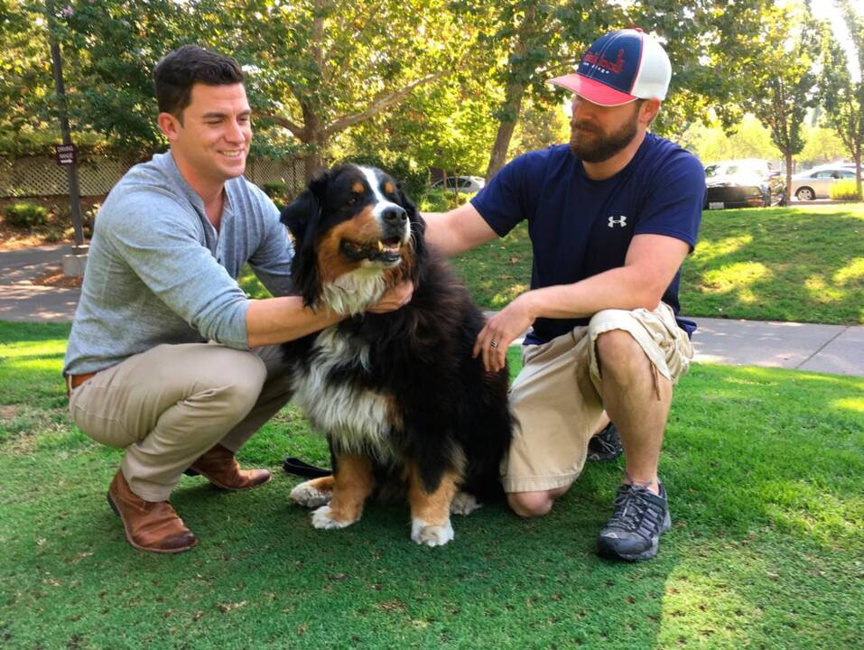 Watch: Family finds dog alive, well after California wildfire